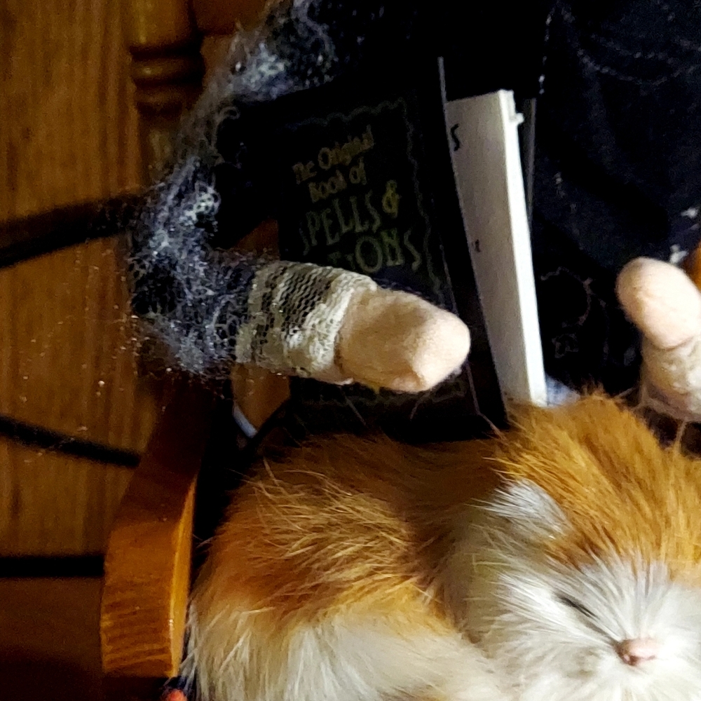 Byer's Choice Rocking Chair Witch - Picture 7 of 10